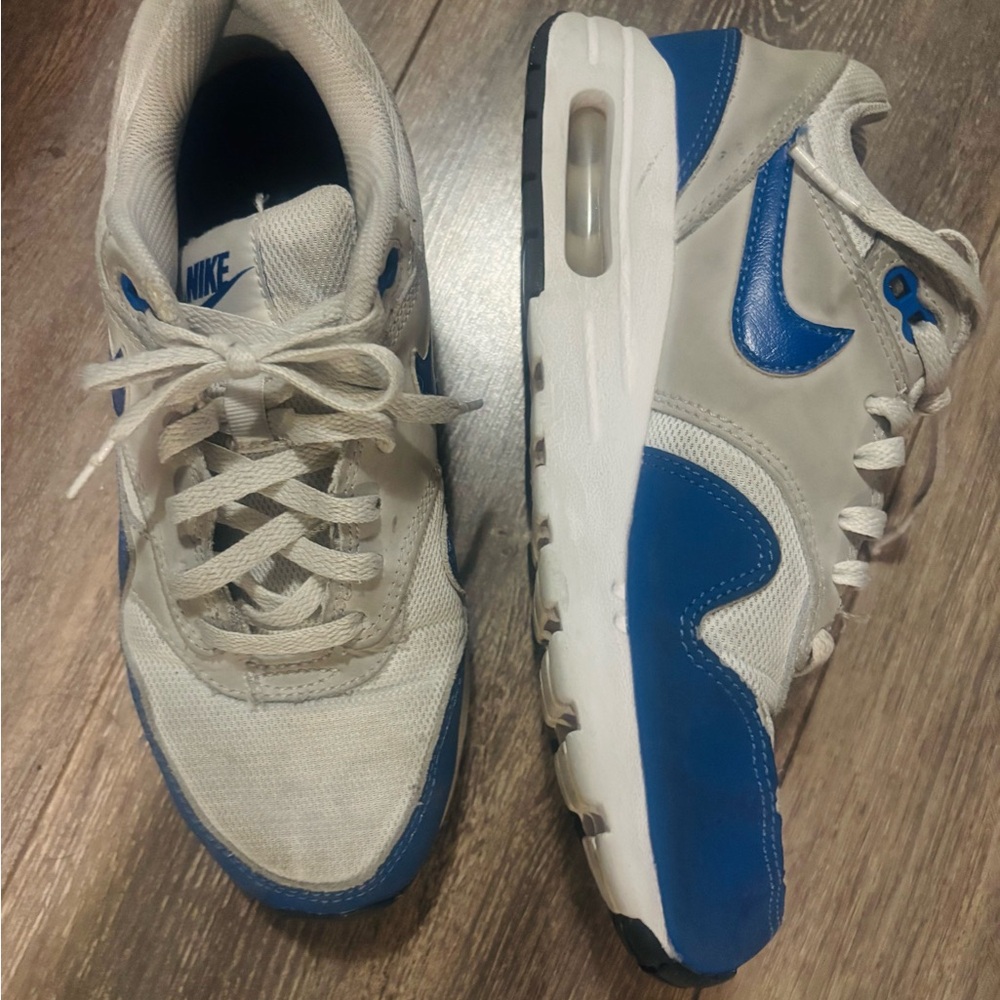 Nike Air Max 1 shoes